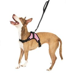 PINK NO Pull Adjustable Dog Pet Vest Harness Quality Nylon or Leash XS S M L XXL