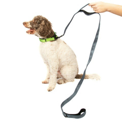 5FT DOUBLE HANDLE Rope Leash Lead Padded Handle Reflective East 2Clip To Harness