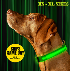 SAFETY LED Dog Pet Light Up Collar Night Glow Adjustable Bright 6 Color XS S L