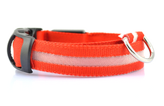 SAFETY LED Dog Pet Light Up Collar Night Glow Adjustable Bright 6 Color XS S L