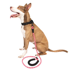 5FT Service Dog Rope Leash Lead Train Padded Handle Reflective Nylon M L Black