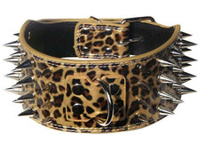 3" WIDE RAZOR SHARP Spike Studded Leather Dog Collar 4-ROW 19-22" 21-24"-LEOPARD