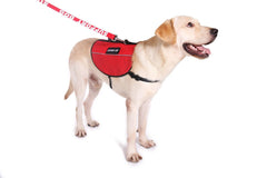 Service Dog Vest Harness Pet Light Weight Reflective Dog Adjustable XXS - XL-RED