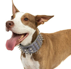 3" WIDE RAZOR SHARP Spiked Studded Leather Dog Pet Collar 4-ROWS 19-22" 21-24"