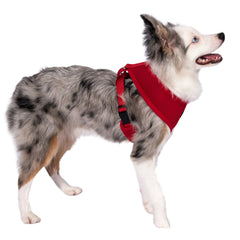 Dog Pet Control Harness Soft Mesh Walk Collar Safety Strap Vest Puppy Cat XS S M
