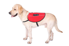 Service Dog Vest Harness Canine Light Weight Reflective Adjustable XXS - XL- RED