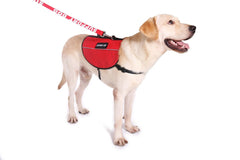 Service Dog Vest Harness Canine Light Weight Reflective Adjustable XXS - XL- RED