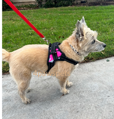 No Pull Pet Harness Adjustable Control Vest Dogs Reflective XS S M XXLPinkCamo