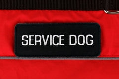 Service Dog Vest Harness Pet Light Weight Reflective Dog Adjustable XXS - XL-RED