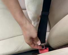 2-PK Cat DOG PET PAW SAFE Seatbelt Car Seat Belt Adjustable Harness Lead 5 STARS