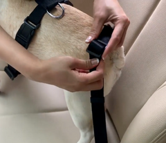 2-PK Cat DOG PET PAW SAFE Seatbelt Car Seat Belt Adjustable Harness Lead 5 STARS