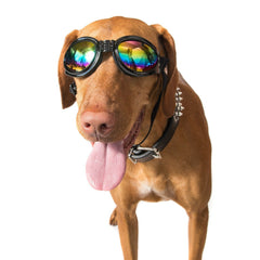 Dog Goggles Sunglasses, USA Seller, 6 Colors! Eye Protection, Adjustable, Padded