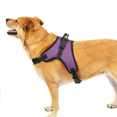 2-PACK Dog Pet Vest Harness Strap Adjustable Nylon Small Medium Large XL No Pull