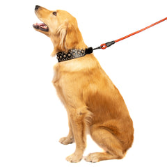 5FT Reflective Dog Leash Nylon with Padded Handle