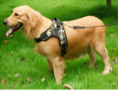 No Pull Adjustable Dog Pet Vest Harness Quality Nylon PLUS BOWL XS S M L XL XXL FREE BOWL