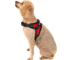 Pet Control Harness for Dog Soft Mesh Walk Large Small Medium XXL Pink Red Black