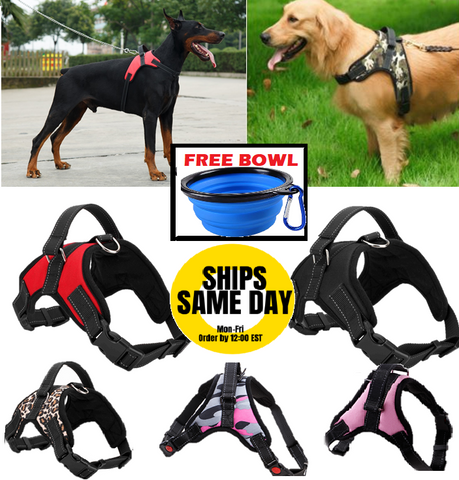 No Pull Adjustable Dog Pet Vest Harness Quality Nylon PLUS BOWL XS S M L XL XXL FREE BOWL