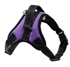 No Pull Adjustable Dog Pet Vest Harness Quality Nylon PLUS BOWL XS S M L XL XXL FREE BOWL